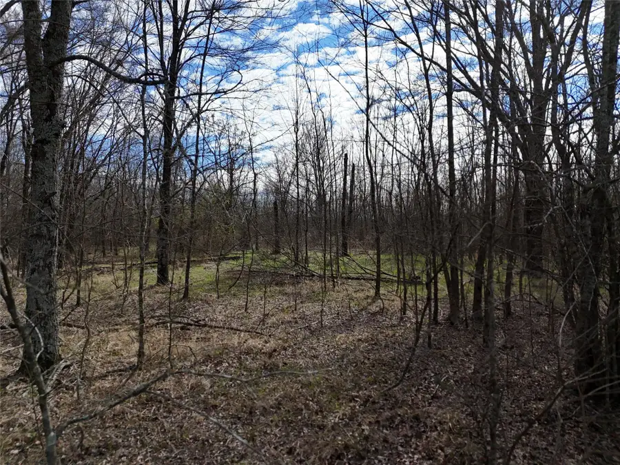 1050 Highway 37, Talco, TX 75487 - #3