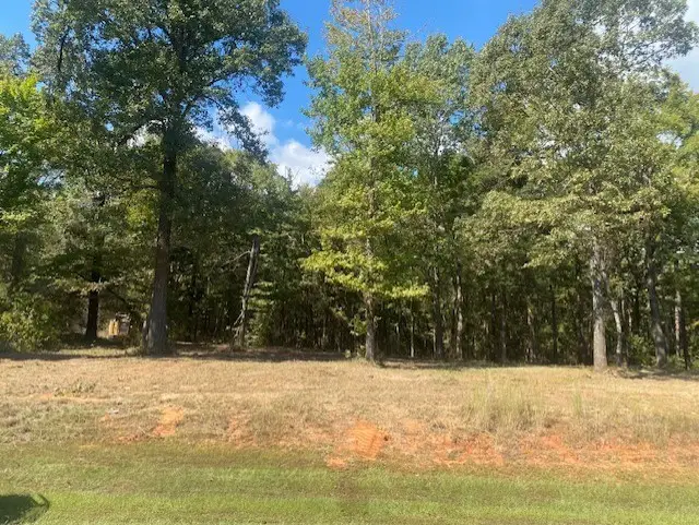 LOT 7R-1 N Private Road 52416 Road, Leesburg, TX 75451 - Image #2