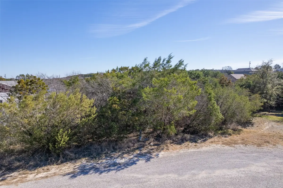 1305 Hydra Court #Lot 460, Granbury, TX 76048 - #1