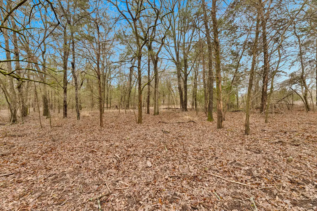 TBD Co Rd 343, Kaufman, TX 75142 - #1