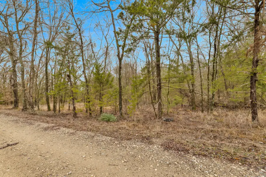 TBD Co Rd 343, Kaufman, TX 75142 - #3