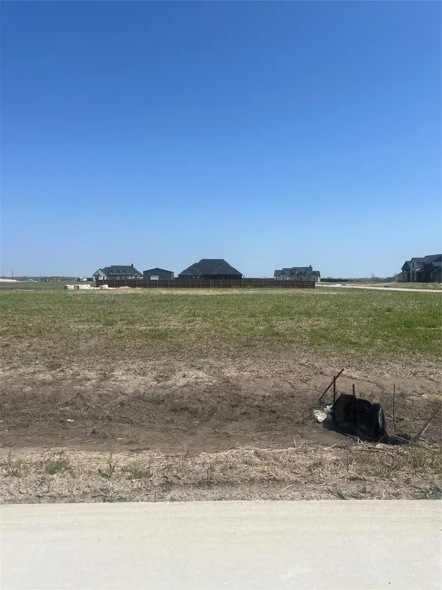 10670 Rye Bread Lane, Venus, TX 76084 - Image #3