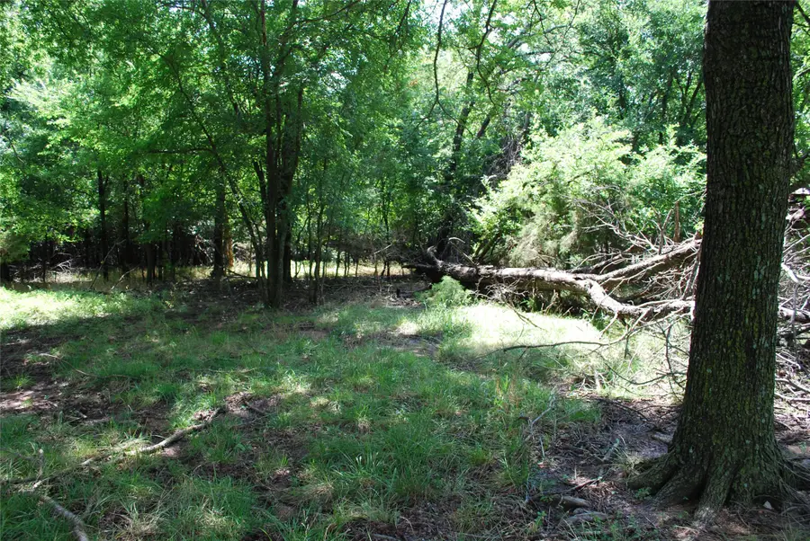 15013 Golf Drive, Whitney, TX 76692 - Image #3