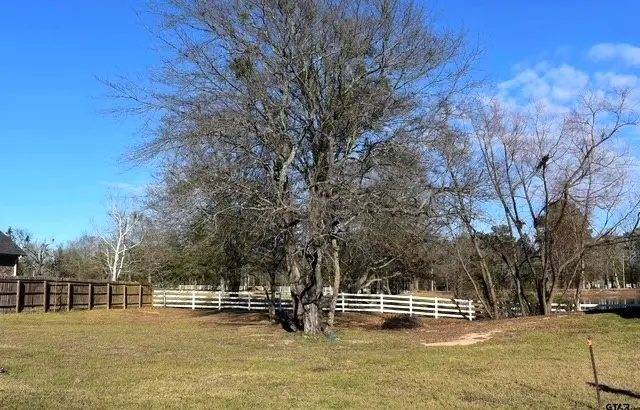 2824 Kingfisher Ln, Mount Pleasant, TX 75455 - #2