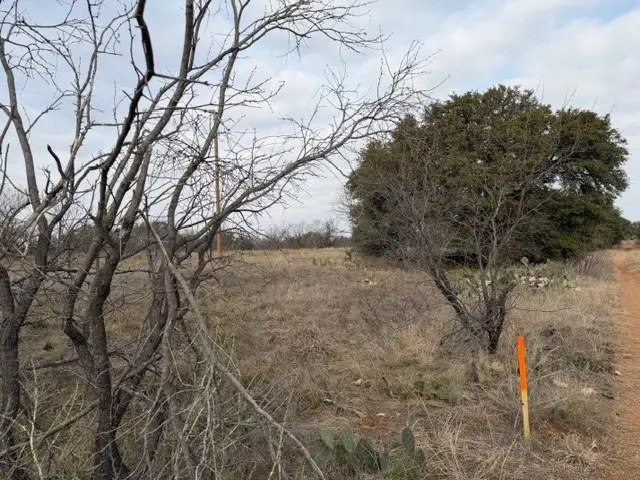 4643 County Road 296 Tract 1, Breckenridge, TX 76424 - Image #3
