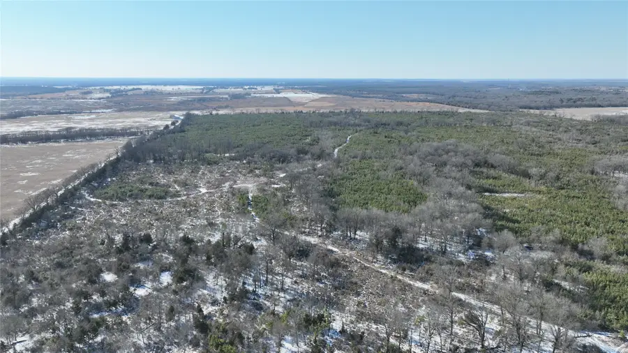 TBD County Rd. 2242 S., Bagwell, TX 75412 - #2