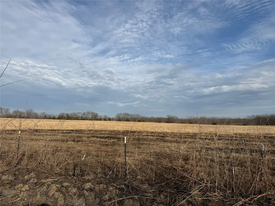 TBD County Road 1220, Deport, TX 75435 - #2