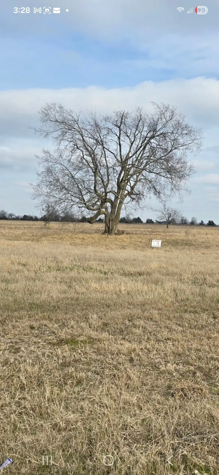 lot 8 County Road 3512, North Hopkins Sulphur Bluff, TX 75482 - Image #2