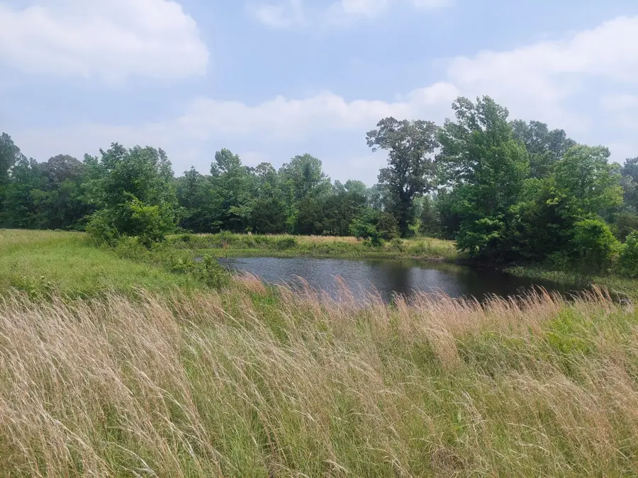 TBD Fm-195, Bagwell, TX 75412 - Image #2