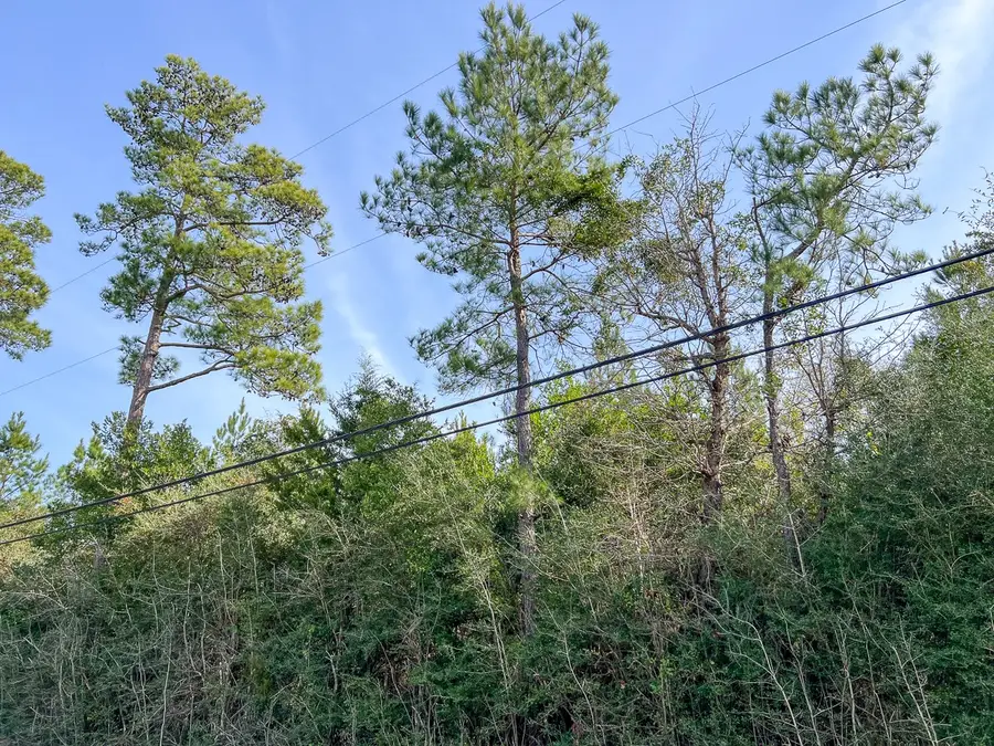 0 Fresenius Rd, Silsbee, TX 77656 - #2