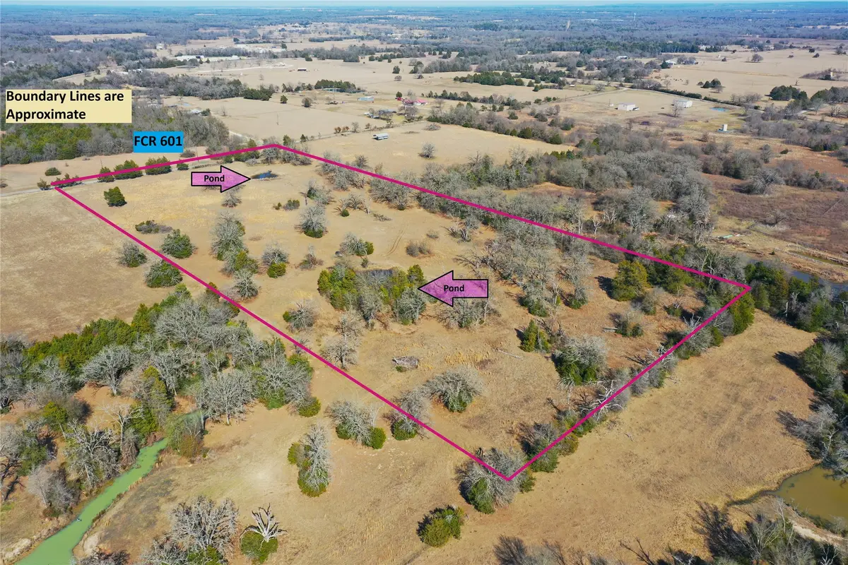 755 Fcr 601, Teague, TX 75860 - #1