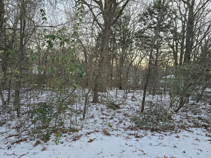 Lot 753 Doe Run Road, Gun Barrel City, TX 75156 - Image #3