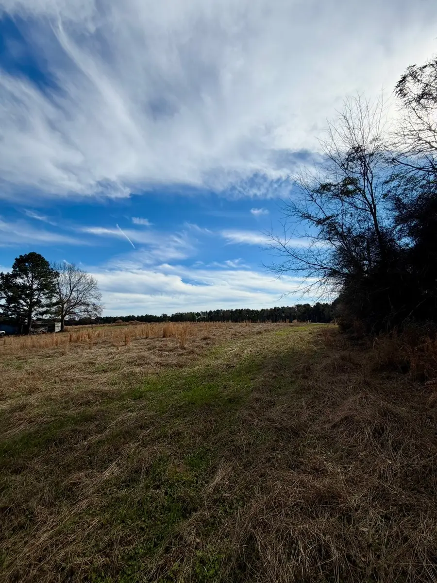 0 Benton Adkins Road, Coushatta, LA 71019 - Image #2