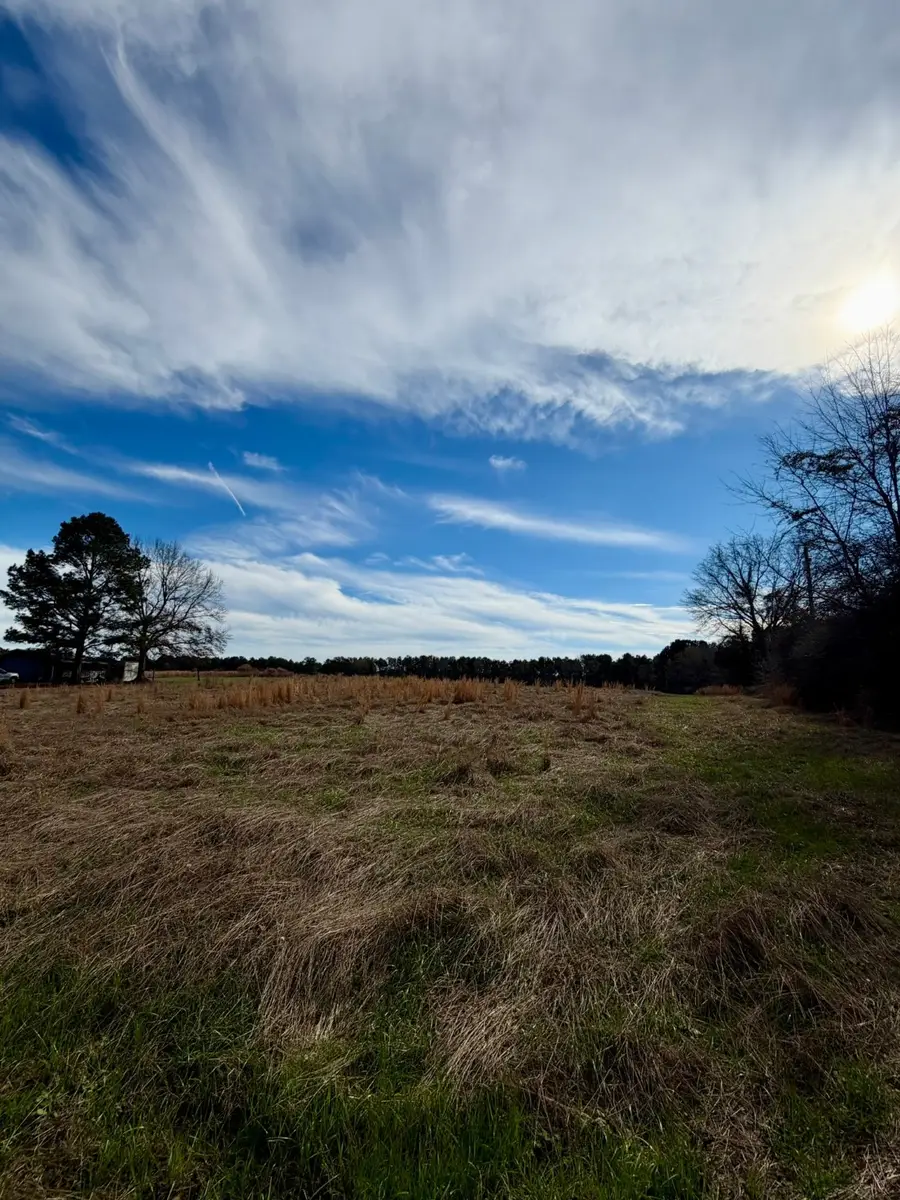 0 Benton Adkins Road, Coushatta, LA 71019 - Image #3