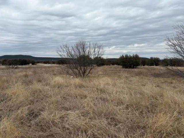 905 Blue Jay Lane, Graford, TX 76449 - #2