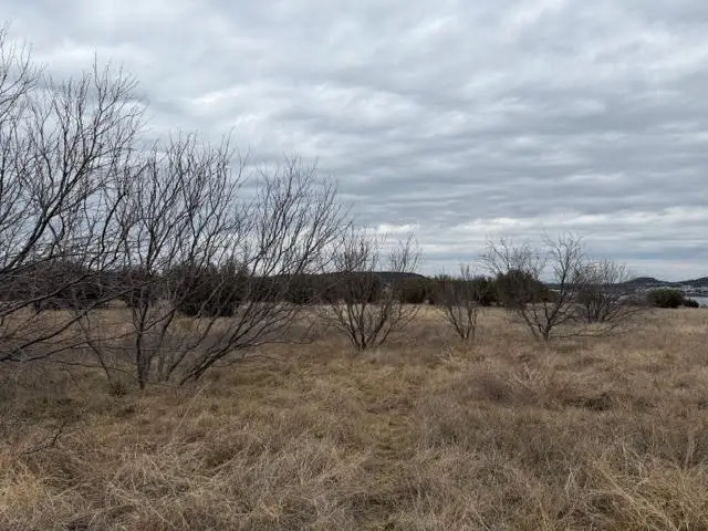 905 Blue Jay Lane, Graford, TX 76449 - #3