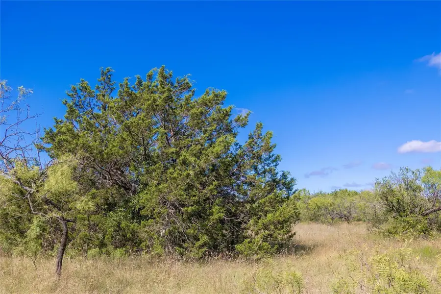 2029 Lot 6 Highway 183, Cisco, TX 76437 - Image #2