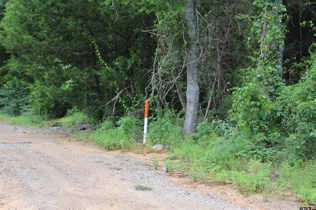 TBD Loop 456 - 14.73 Acres, Jacksonville, TX 75766 - Image #2