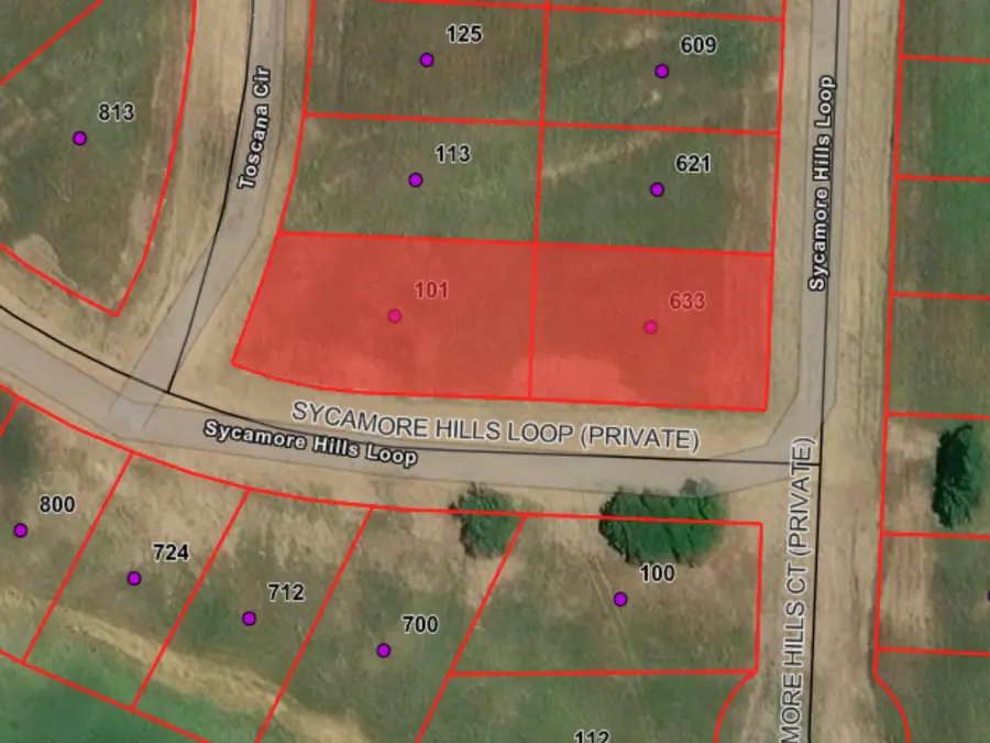 101 Tuscany Hills Lane, Gordonville, TX 76245 - Image #2