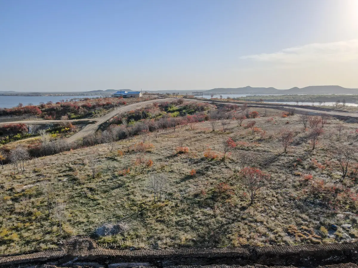 Lot 42 Water Lilly Lane, Possum Kingdom Lake, TX 76450 - #1