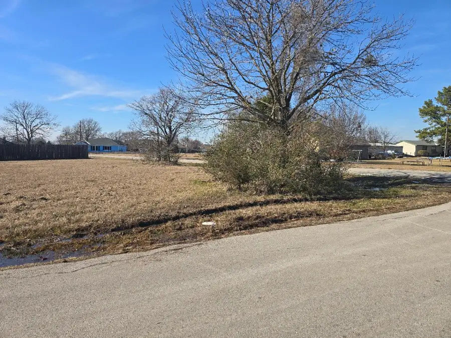 Lot 22 Rudder Road, Gun Barrel City, TX 75156 - Image #2