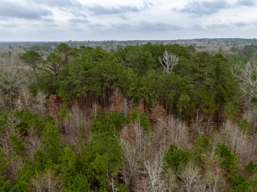 6052 Blocker Road, Marshall, TX 75672 - Image #3