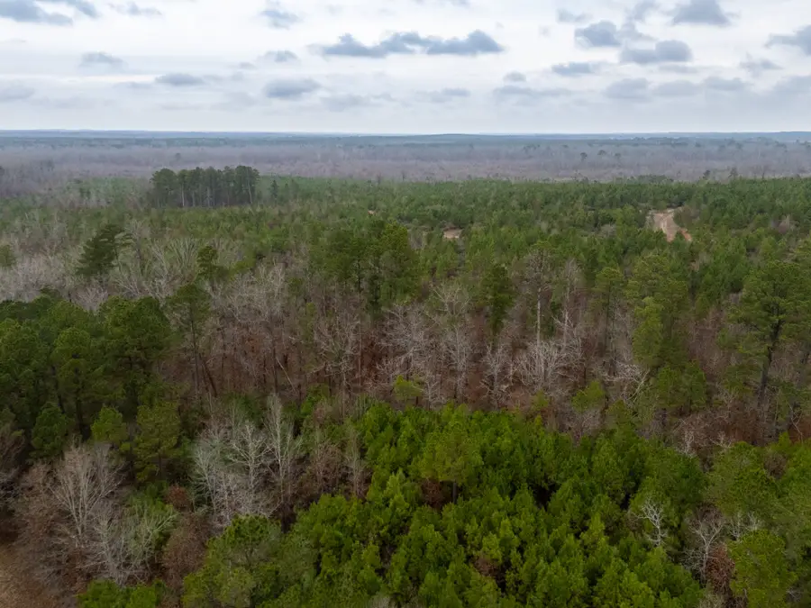 0 Blocker Road, Marshall, TX 75672 - Image #3