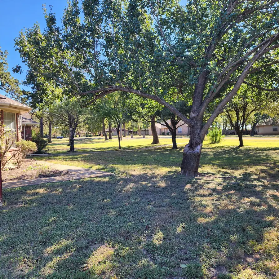 123 Park Lane, Golinda, TX 76655 - #3