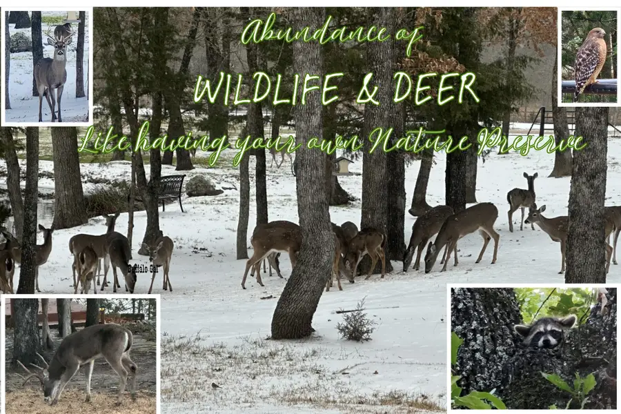 8004 County Road 2412, Quinlan, TX 75474 - #2