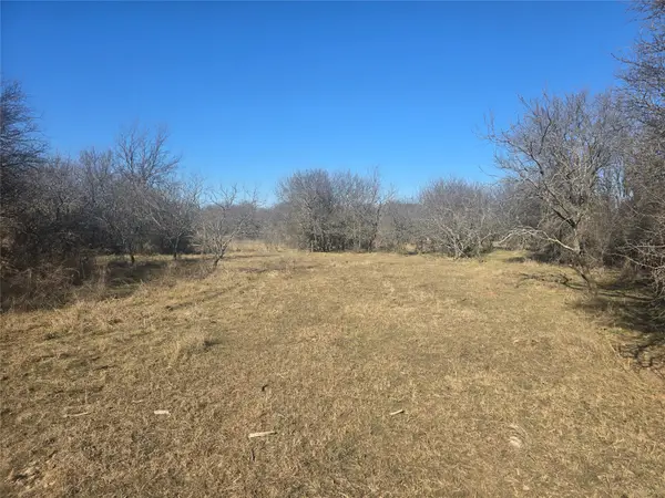 30 Oasis Ct Court, Perrin, TX 76449