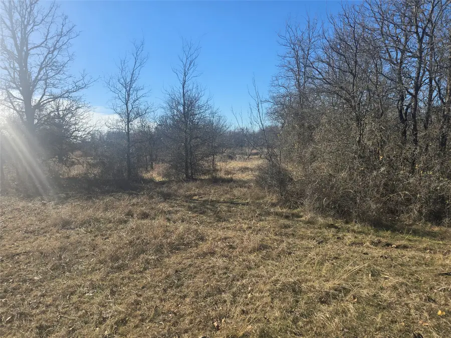 30 Oasis Ct Court, Perrin, TX 76449 - #2