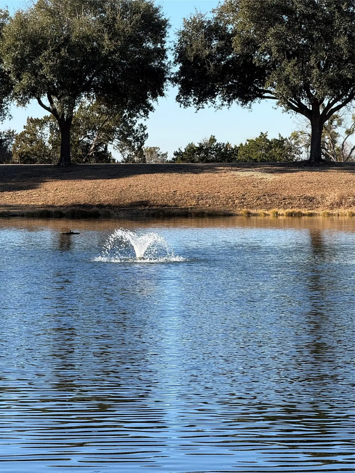 29 North Shore Circle, Waco, TX 76708 - Image #1