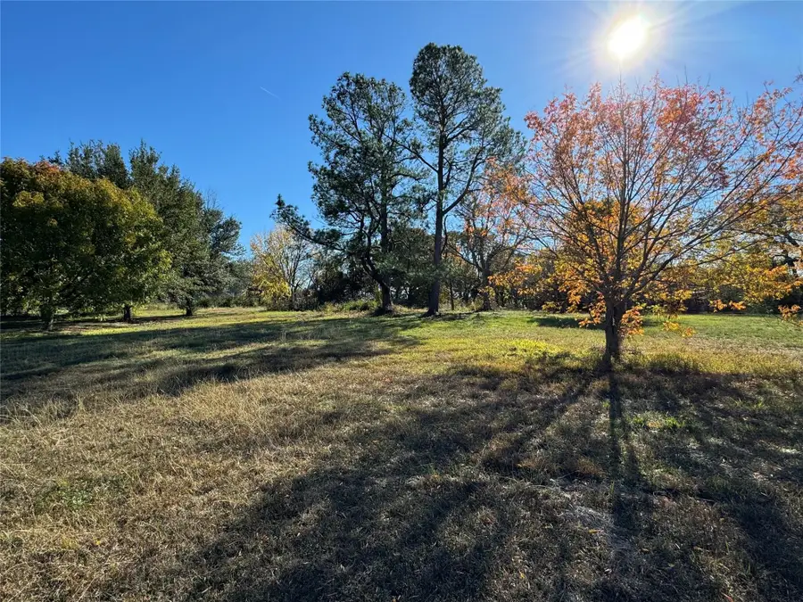 APN 442076 W Bells Boulevard, Bells, TX 75414 - #2