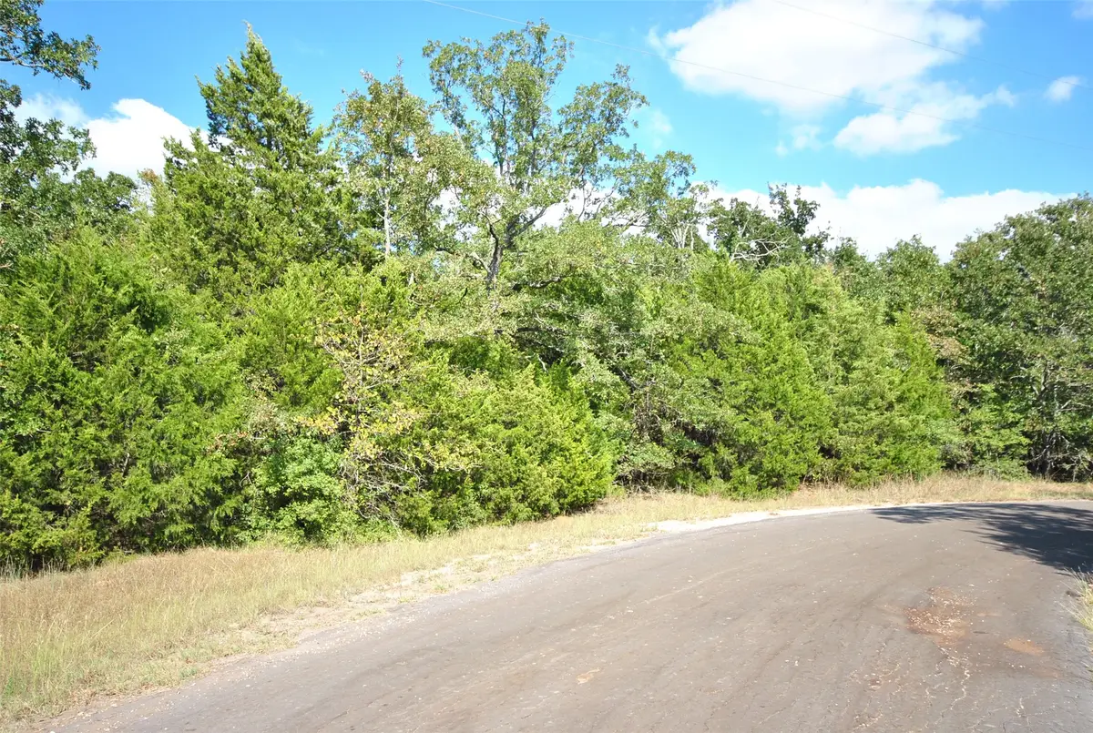 Lot 24 Lcr 910 Drive, Jewett, TX 75846 - #1