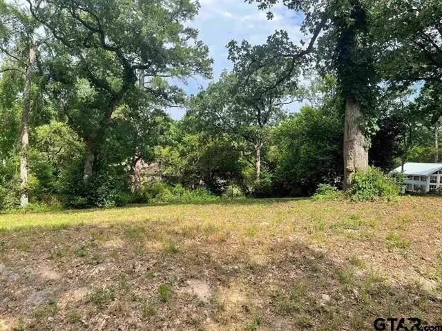 309 Harmony Lane, Hideaway, TX 75771 - #2