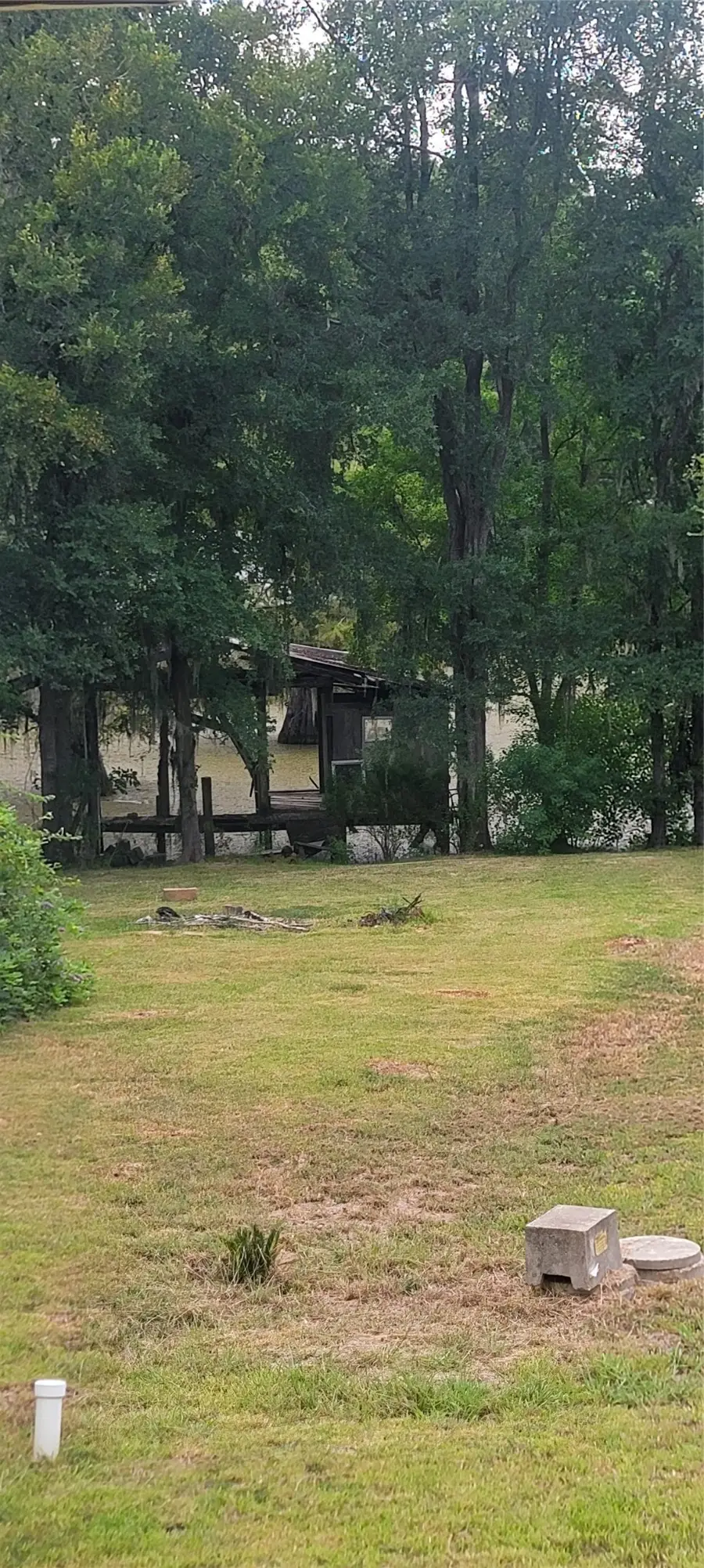 253 Midlake Marina Road, Doyline, LA 71023 - #2