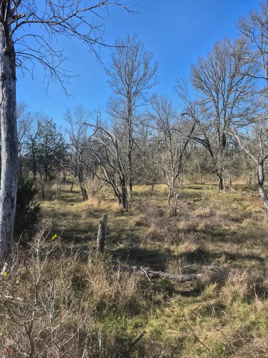 474 Fm 2958, Marlin, TX 76661 - #3