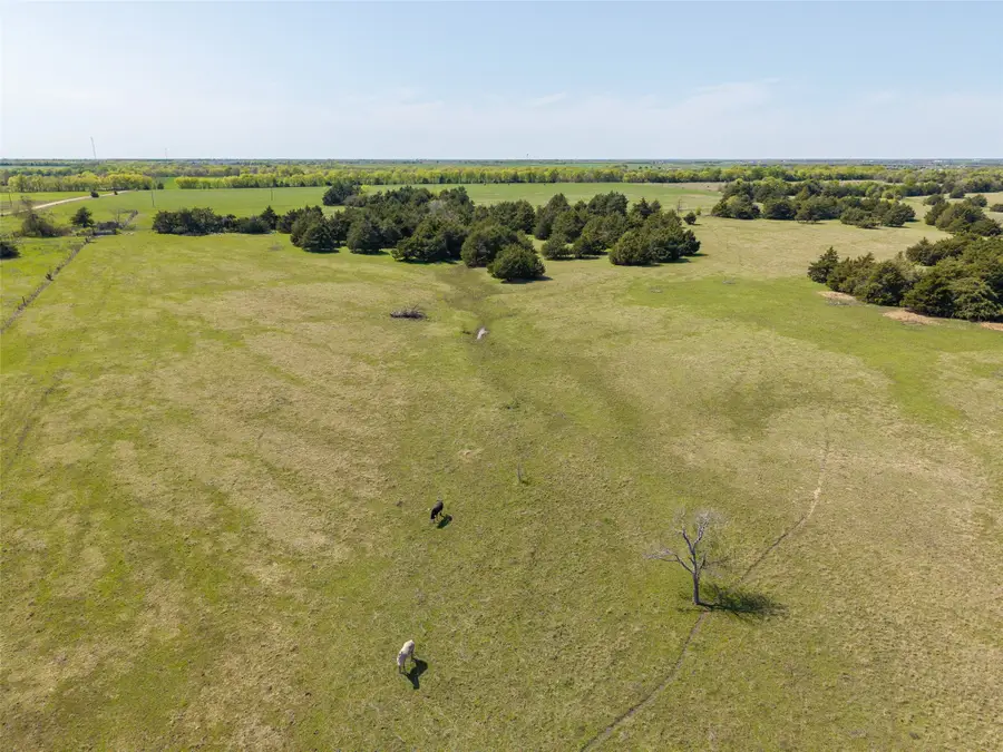 35 ac County Road 1046, Celeste, TX 75423 - #2
