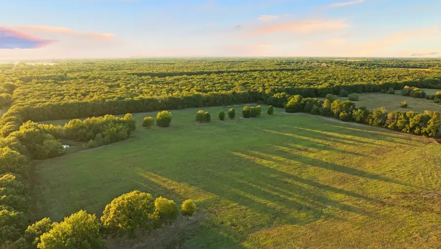 000 County Road 16590, Pattonville, TX 75468 - #3