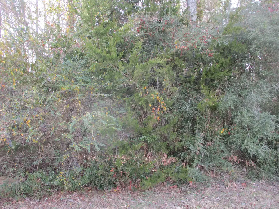 TBD Wood County Road 2958, Alba, TX 75410 - #2