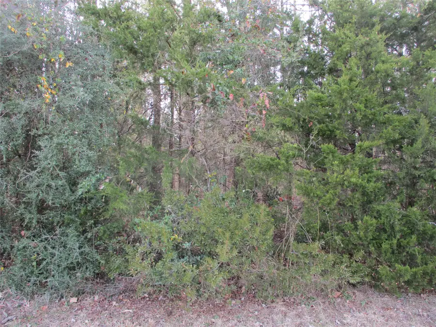 TBD Wood County Road 2958, Alba, TX 75410 - #3