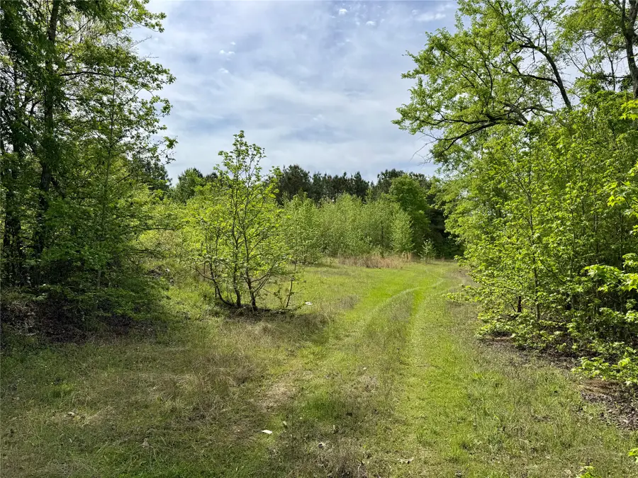 0 County Road 2742, Naples, TX 75568 - #3