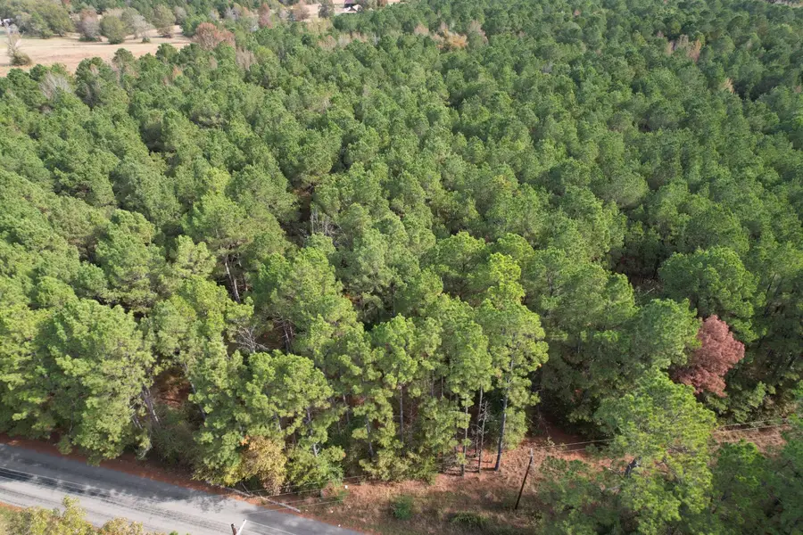 TBD-B Boggy Rd, Waskom, TX 75692 - #3