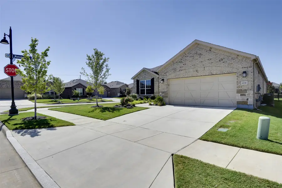 1236 Cornerstone Drive, Little Elm, TX 76227 - Image #3