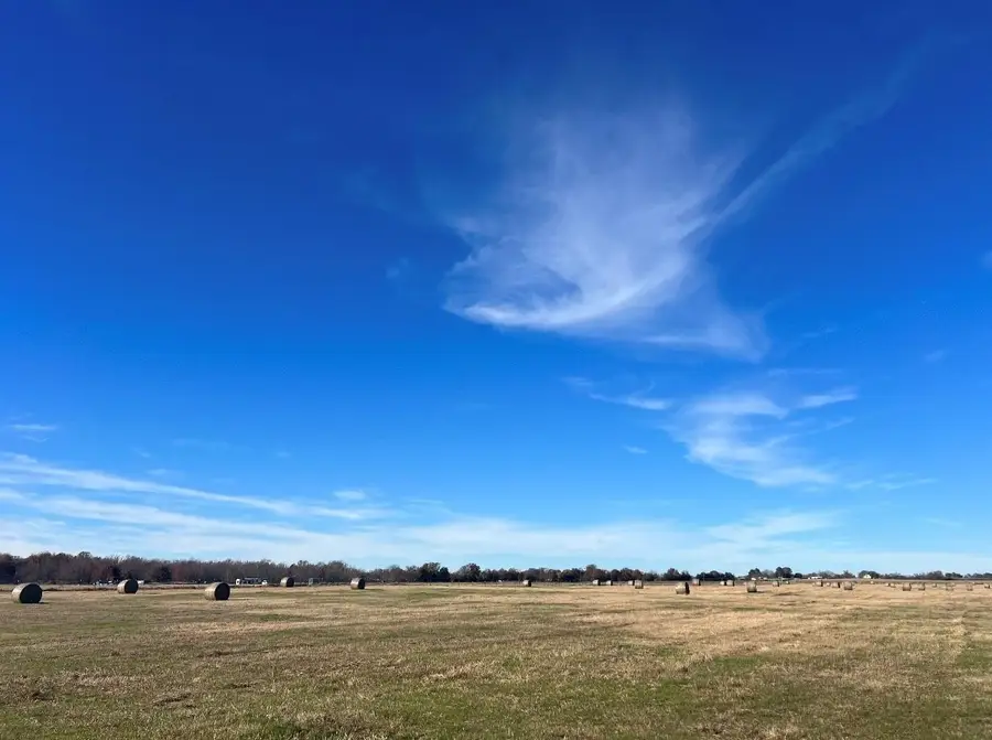 269 Vz County Road 4305, Ben Wheeler, TX 75754 - #3