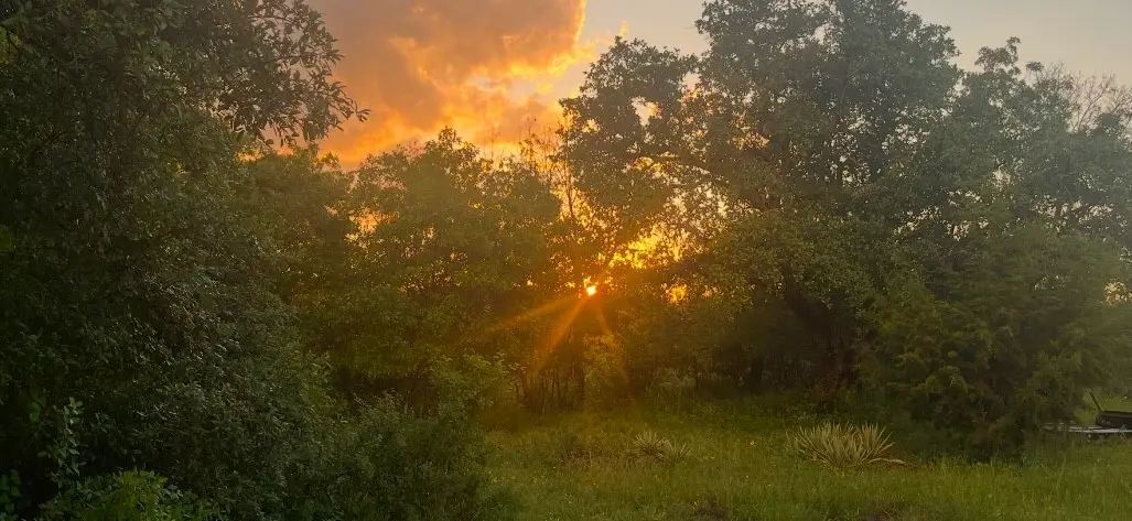 142 Mulligan Lane, Azle, TX 76020 - #1