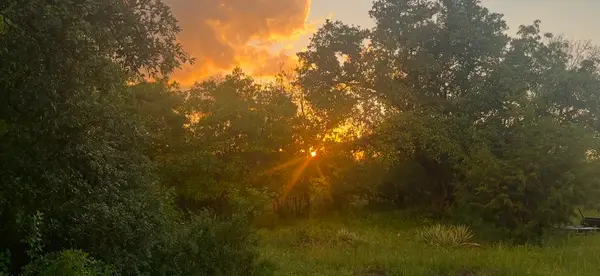 142 Mulligan Lane, Azle, TX 76020