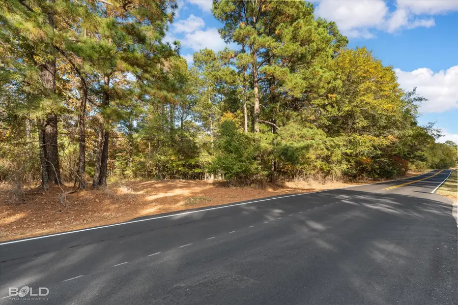 291 Parks Road, Benton, LA 71006 - #3