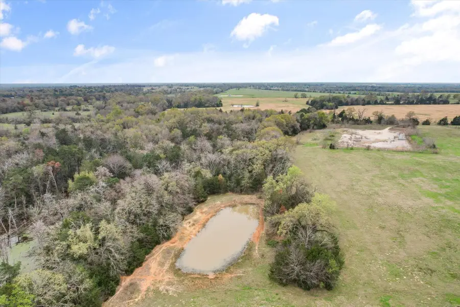 226 County Road 141, Streetman, TX 75859 - #2
