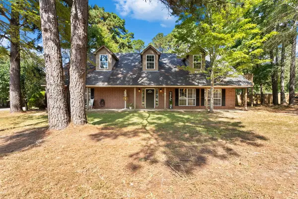 16691 S Lakeview Drive, Troup, TX 75789